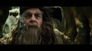 Радагаст Бурый. HD