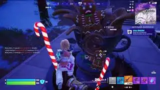 Fortnite - Solo #034 