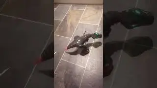 Zoomer the robot dino