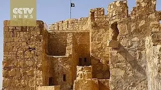 ISIL militants allegedly kill 400 people in Palmyra