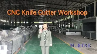 CNC Oscillating Knife Cutting Machine - High Precision, Fast Delivery, Lifetime Support
