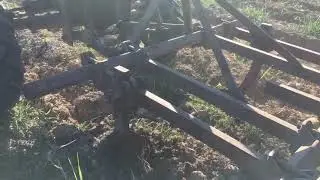 Bineuse plantier vigne