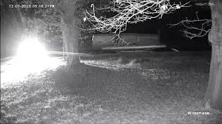 Dont 💭 I ante notice you.1 they try attacking cat,cat runs home then gets ran over by person waiting
