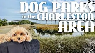 Dog Parks in the Charleston, SC  Area - Learn About Local Dog Parks