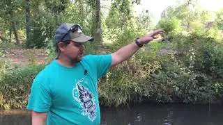Salmon Watch   Riparian Zone   Part 1