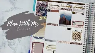 Plan With Me | ft. Dash of Sun Designs | collab with VivLuvstoPlan | Nov 16 - 22