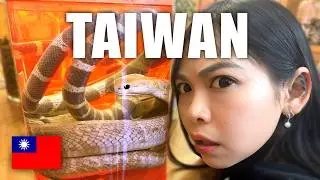Snake BLOOD in Taiwan 🇹🇼
