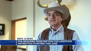 FDA to require prescriptions for livestock antibiotics