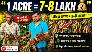 1 Acre Me 7&ndash;8 Lakh 😱  Jaivik Tuar + Haldi Adrak Farming Success #Aasankheti