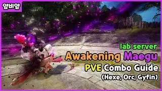 BDO) 각성 매구 사냥콤보 가이드 및 사냥터 맛보기 (연구소) / Awakening Maegu PVE Combo guide (Lab server)