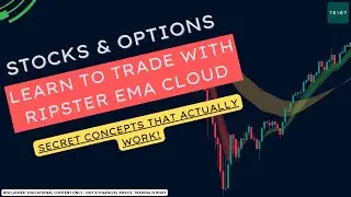 2 секретных торговых концепции для постоянных побед | $SPY $AMD $TSLA $NVDA