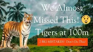 Satpura Safari Adventure 🐅🔥 | Rare Tiger Sighting & Jungle Secrets!