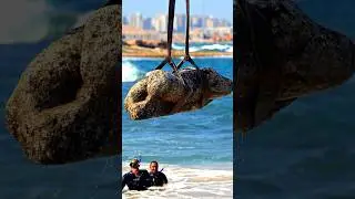 Sunken City Artifacts Found in Egypt #history