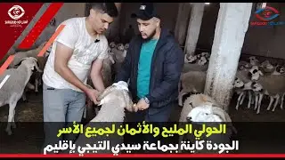 الحولي المليح والأثمان لجميع الأسر.. الجودة كاينة بجماعة سيدي التيجي بإقليم آسفي0664144044
