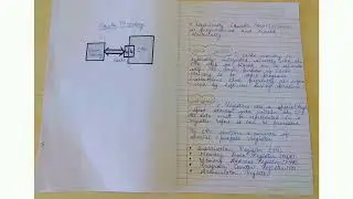 Basic IT Tools//(SEC)Assignment (Semester 1)BBA