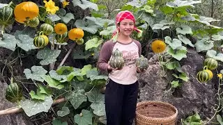 Harvest 10 pumpkins from the inside out, go to the market to sell, and take care of pigs