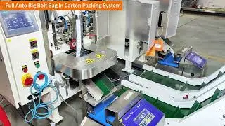 Full Auto Big Bolt Bag In Carton Packing System--Focus Machinery