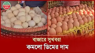গত সপ্তাহের তুলনায় কিছুটা কম ডিম-মাছ-মাংসের দাম | Egg | Meat Price