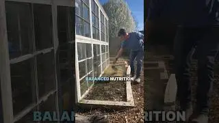 4 Soil Amendments I ALWAYS Use In My Garden