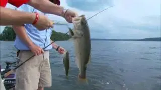 Catching Fish on Strike King's 6XD Crankbait