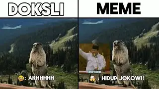 Meme Hidup Jokowi, Doksli Vs Meme