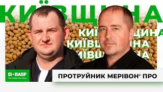 Досвід використання протруйника Мерівон® Про в Київській області