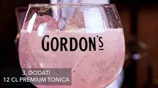 Gordon's Pink & Tonic