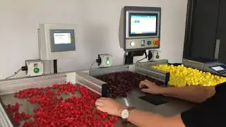 Accuscale - st&oacute;ł roboczy zintegrowany z system ważącym