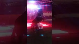 🦅Desi Power + Rhythm 😊🔥 | Haryana Ka Viral Horse Dance 💥🦁.. #shorts #new #viral #trending #ytsh