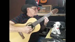 Helio augusto , Paineira velha , solo de viola