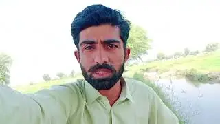 Benazir Haari card | Video by Abdul Hafeez Mari | Mirpurkhas 