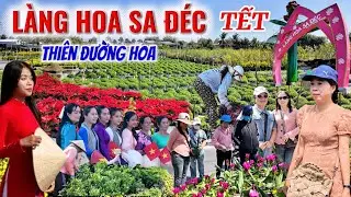 Bất Ngờ Làng Hoa Sa Đéc - Đồng Tháp Hé Lộ Nhiều Loại Hoa Mới Để Chuyển Bị Đón Tết 2026