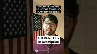 Mental Focus Follows Visual Focus