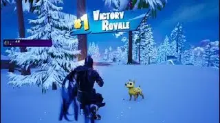 Fortnite shot in the back....