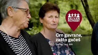 Crn gavrane, zašto gačeš – Gorica, Janj, BiH