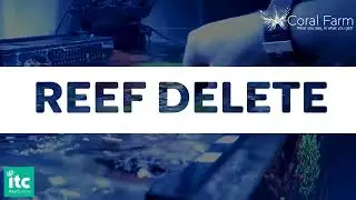Reefculture Reef Delete Coral Farm 1080p
