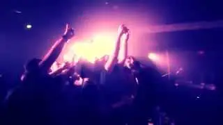 DOLLAR LLAMA - GRAND UNION (OFFICIAL VIDEO)