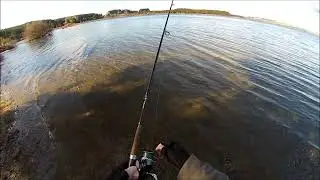 NEW ZEALAND TROUT FISHING SHE GOES HOME
