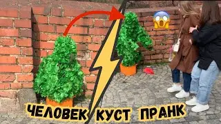 Притворился кустом ПРАНК / Пугаю прохожих