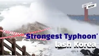 BAVI, the strongest typhoon of 2020 threatens Korea