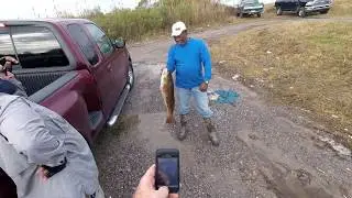 Redfish from the bank