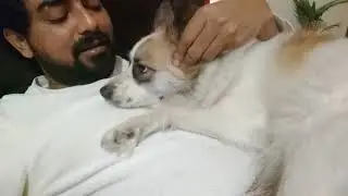 @candy lion Ozzy 😍😍😍🤩🤩🤩😘😘😘😘