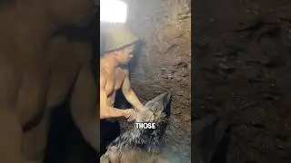These wooden sticks may look insignificant, but they actually control the water source switch