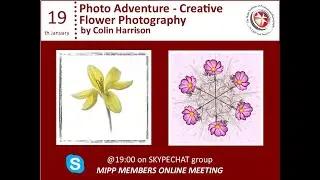 Photo Adventure   Creative Flower Photography