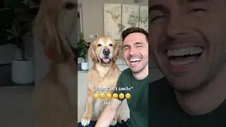 &laquo;Собаки не умеют улыбаться!&raquo;