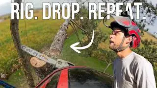 Insane Tree Work Compilation | Technical Rigging, Climbing & Full-Tree Chipping!