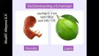 Homiladorlik. 0 haftadan 13 haftagacha.