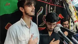 Purdard Noha | Wa Waila Wa Waila Shud | Noida Sector 50 | Amroha Azadari | MessageOfHumanity