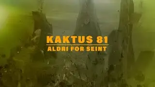 Aldri For Seint - Kaktus 81