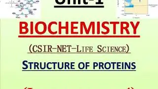 Lecture no.-04 Structure of Protein (BIOCHEMISTRY)